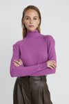 Pixies Turtleneck Sweater - JoeyRae