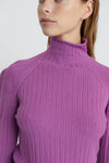 Pixies Turtleneck Sweater - JoeyRae