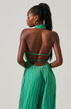 Damia Halter Jumpsuit - JoeyRae