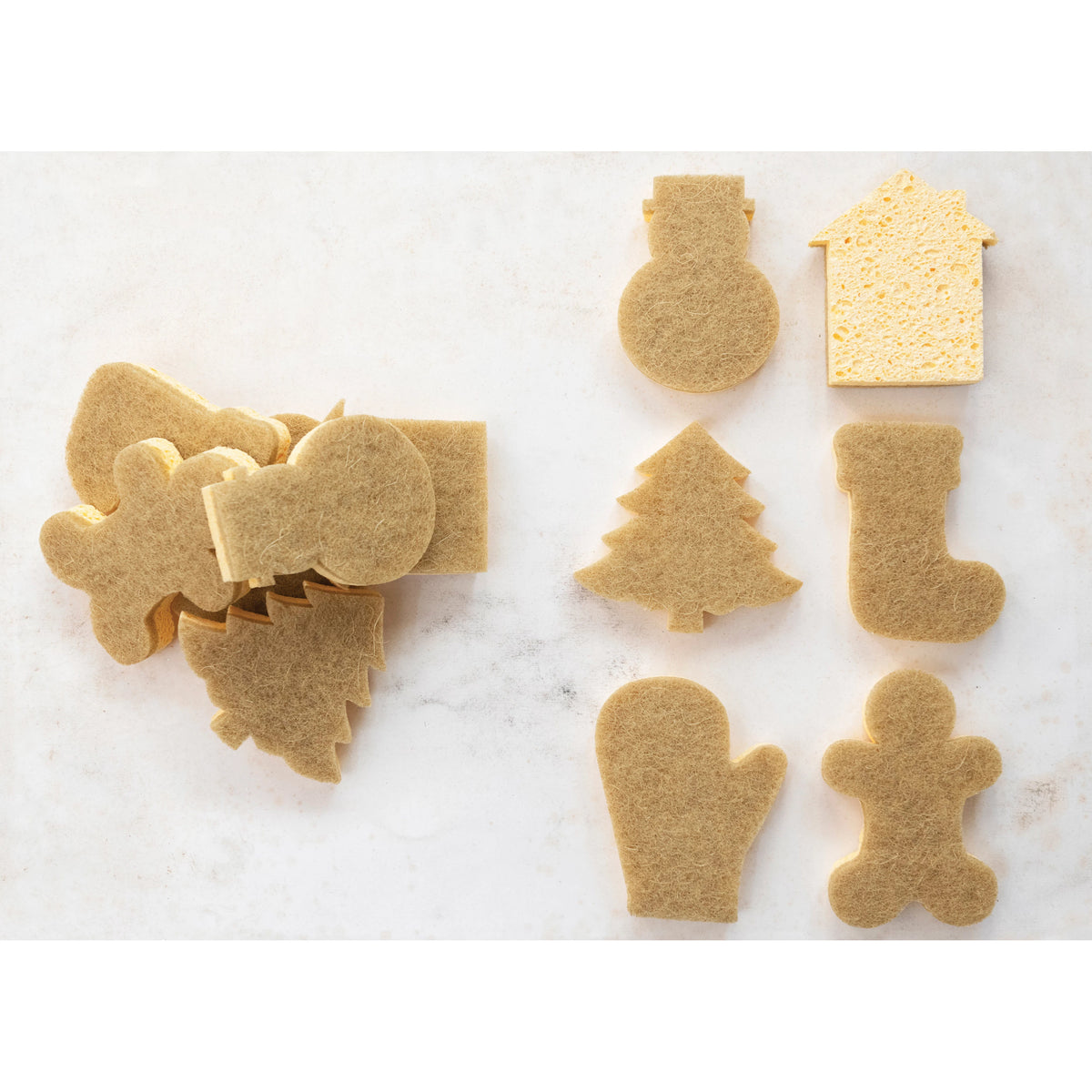 Holiday Sponge - JoeyRae